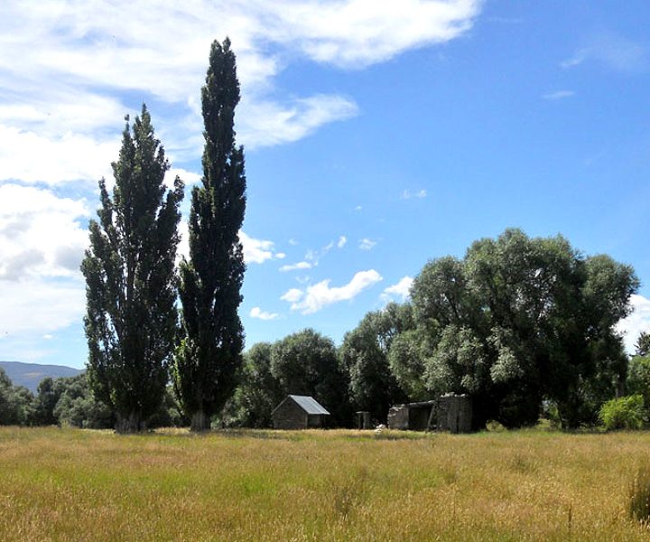 otago summer season