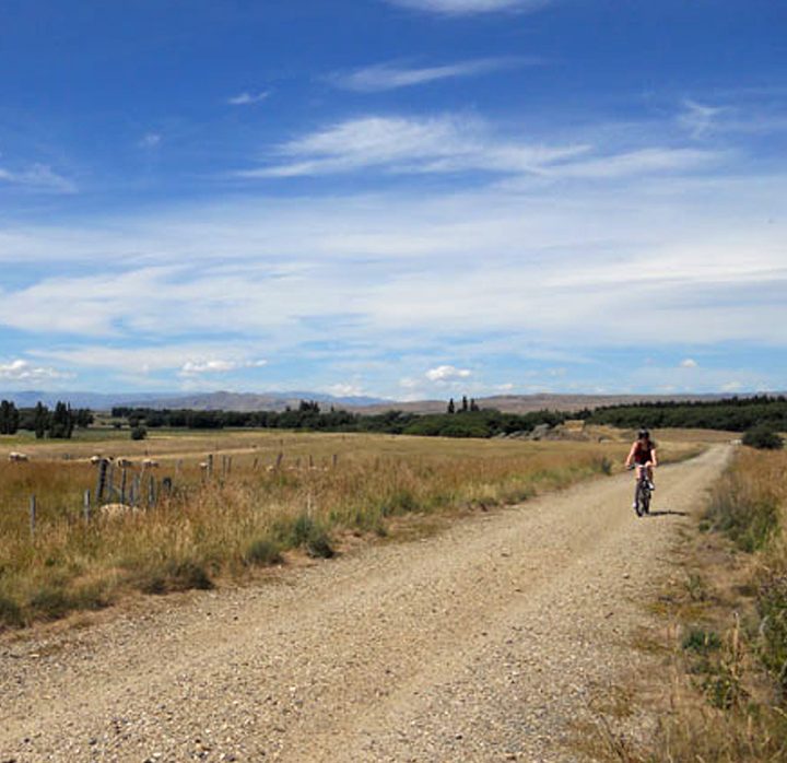 central otago rail trail