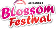 blossom festival